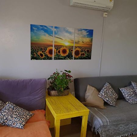 Vila Casa Deni Nova Petropolis Exteriér fotografie