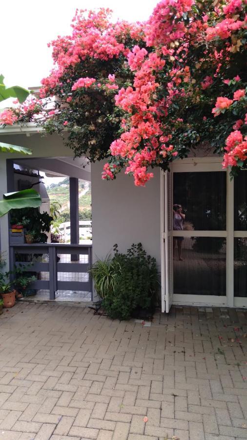 Vila Casa Deni Nova Petropolis Exteriér fotografie