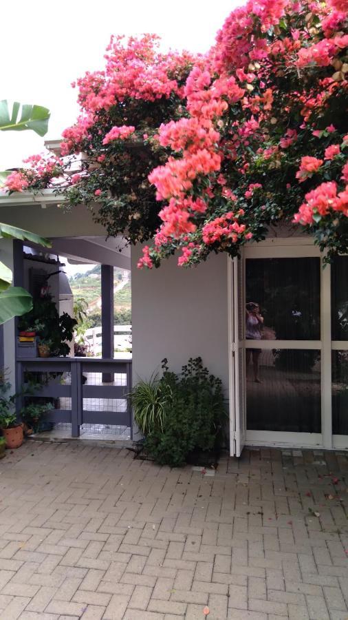 Vila Casa Deni Nova Petropolis Exteriér fotografie