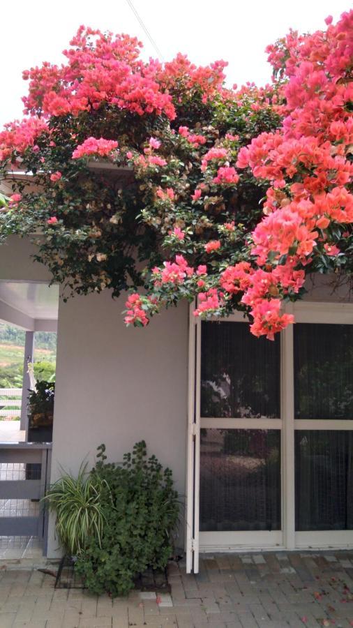 Vila Casa Deni Nova Petropolis Exteriér fotografie