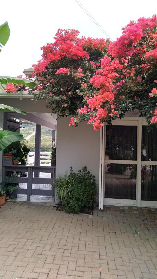 Vila Casa Deni Nova Petropolis Exteriér fotografie