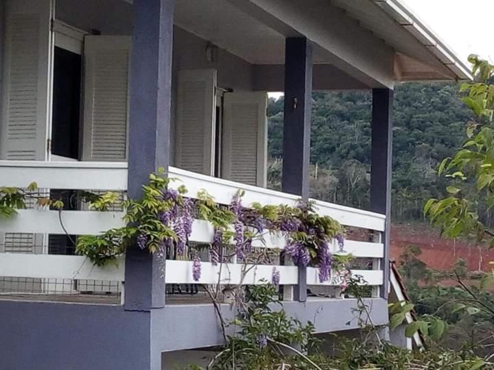 Vila Casa Deni Nova Petropolis Exteriér fotografie